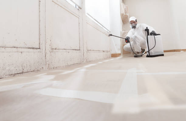 Black mold remediation team in Villanova